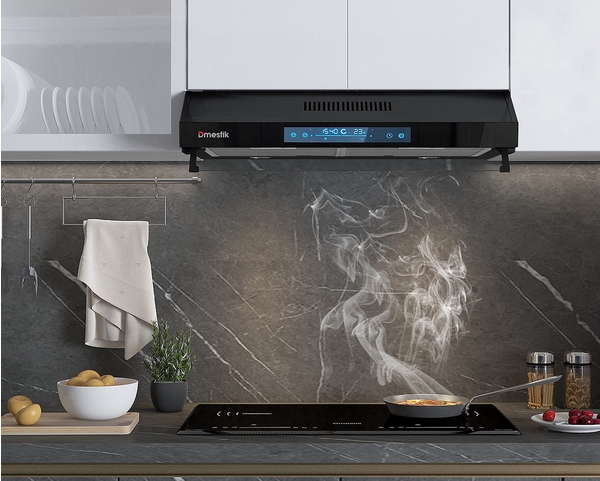 Máy hút Dmestik TL 4870 DMK