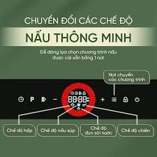 Bếp từ Enic CT07