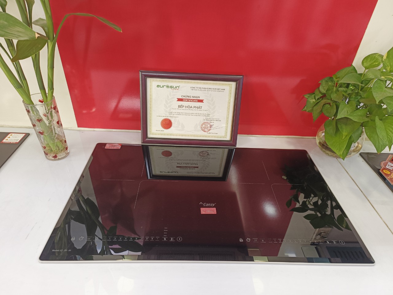 Bếp từ Canzy CZ T01 có tốt không?
