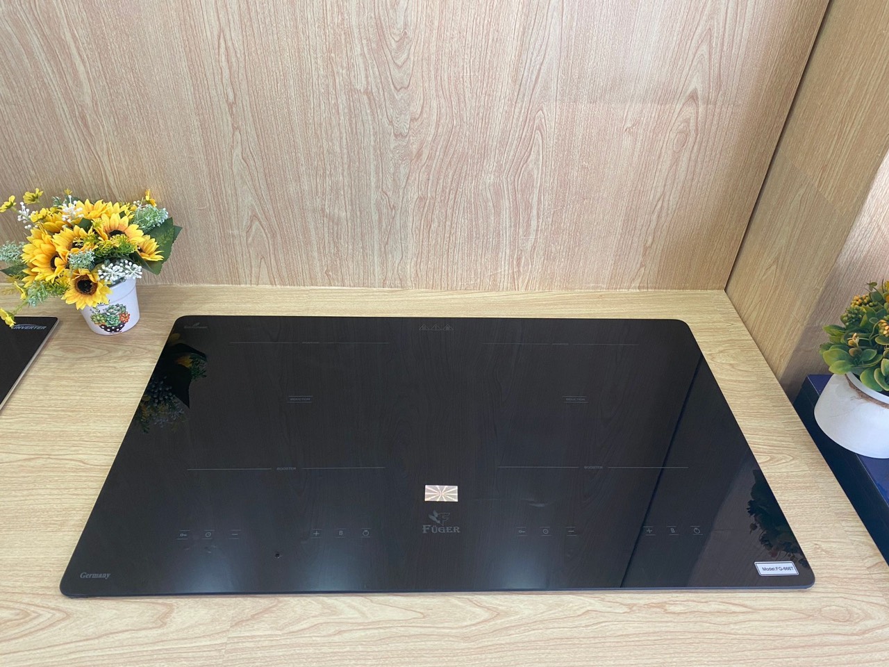 Những lý do nên mua bếp từ FUGER FG-666T?