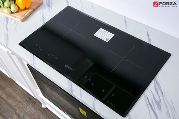 Bếp Đôi 1 Từ 1 Hồng Ngoại Forza FZ-69 ECS